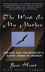 the wind is my mother book cover