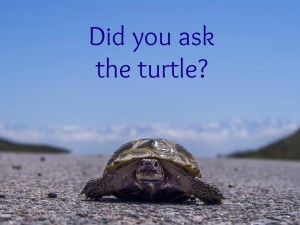 Did you ask the turtle?